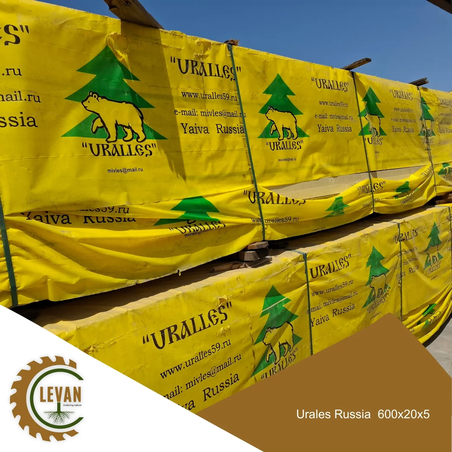 چوب اورالس وارداتی